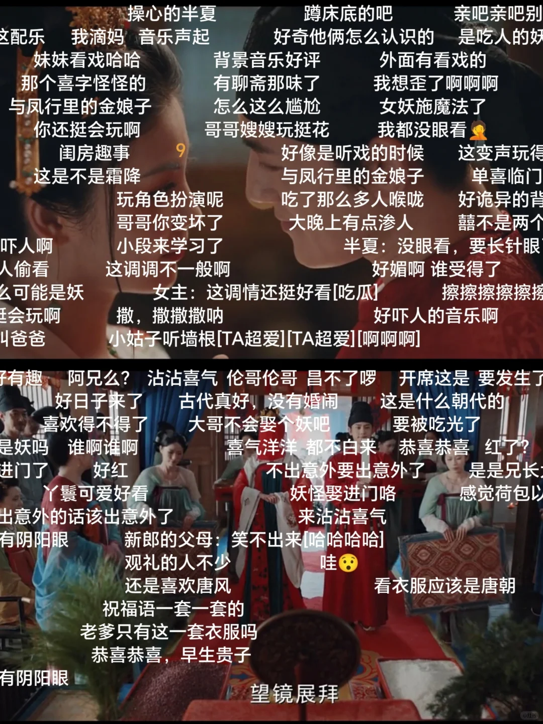 勉费追剧APP❗️