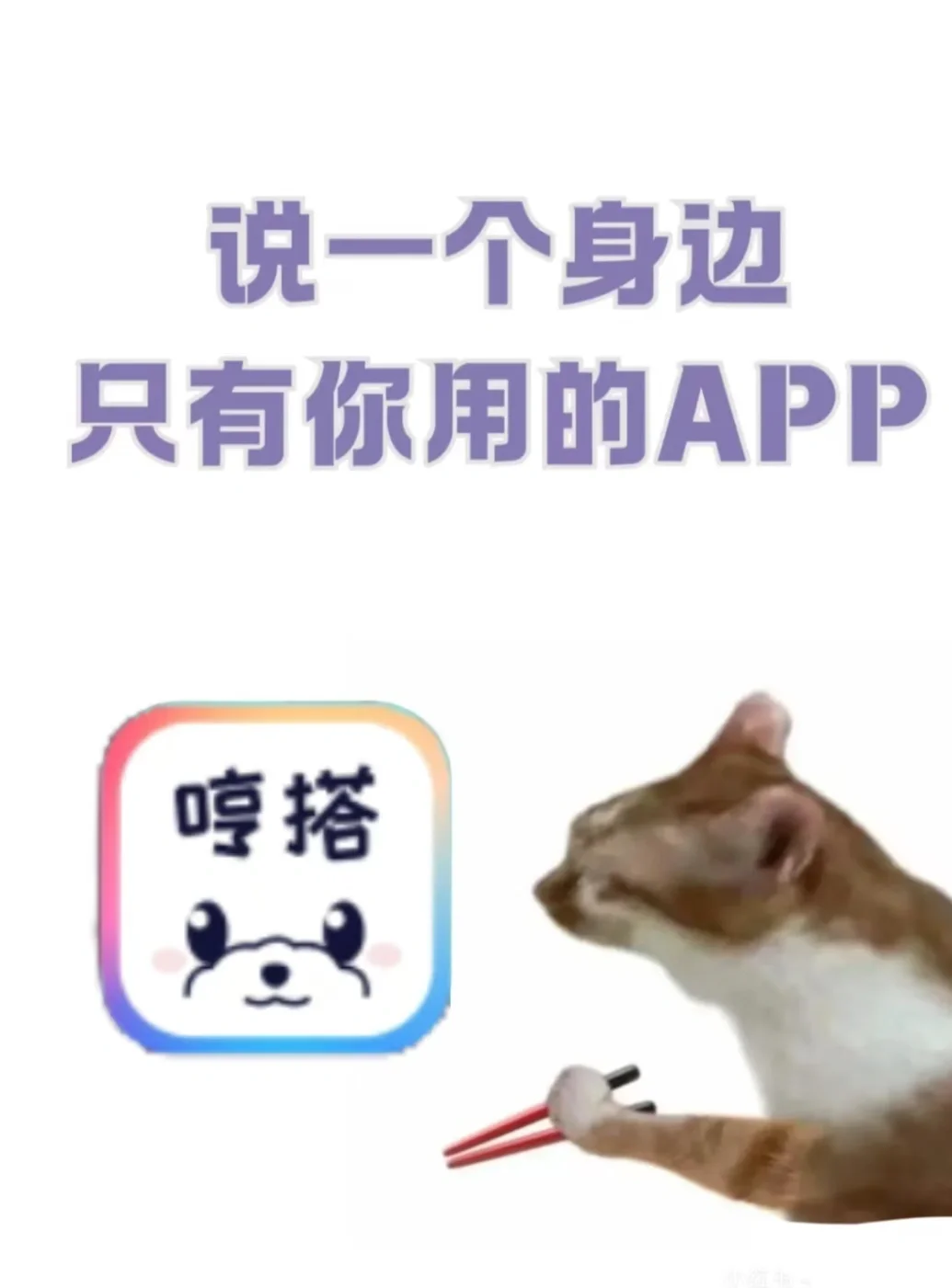 你的独家小众app