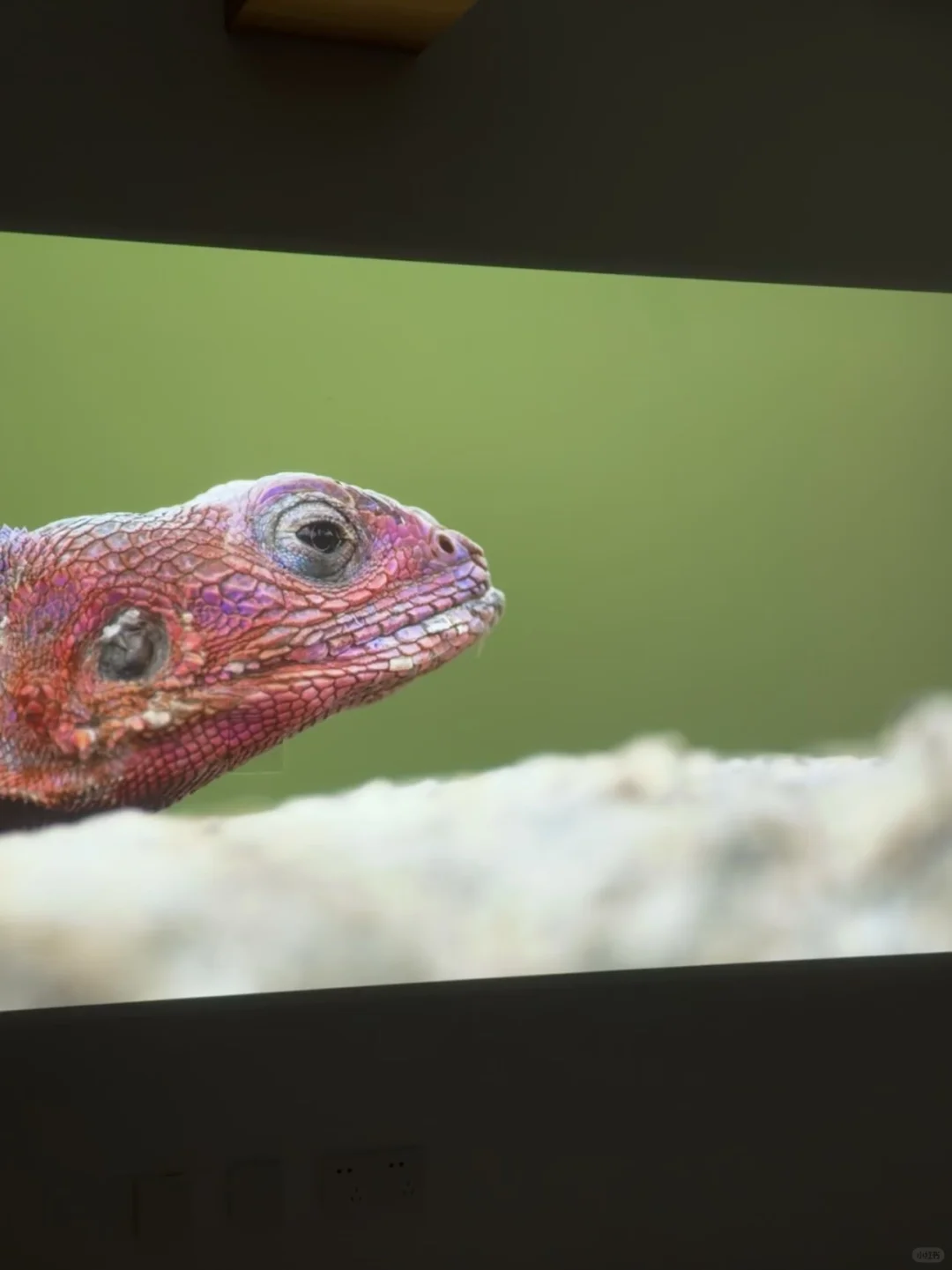 ||引导女儿走向正确三观的5部电影