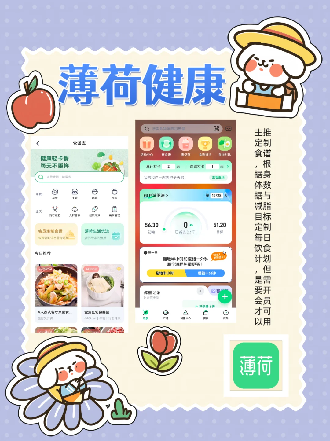 🍎【减肥APP红黑榜】全网爆火的5款软件实