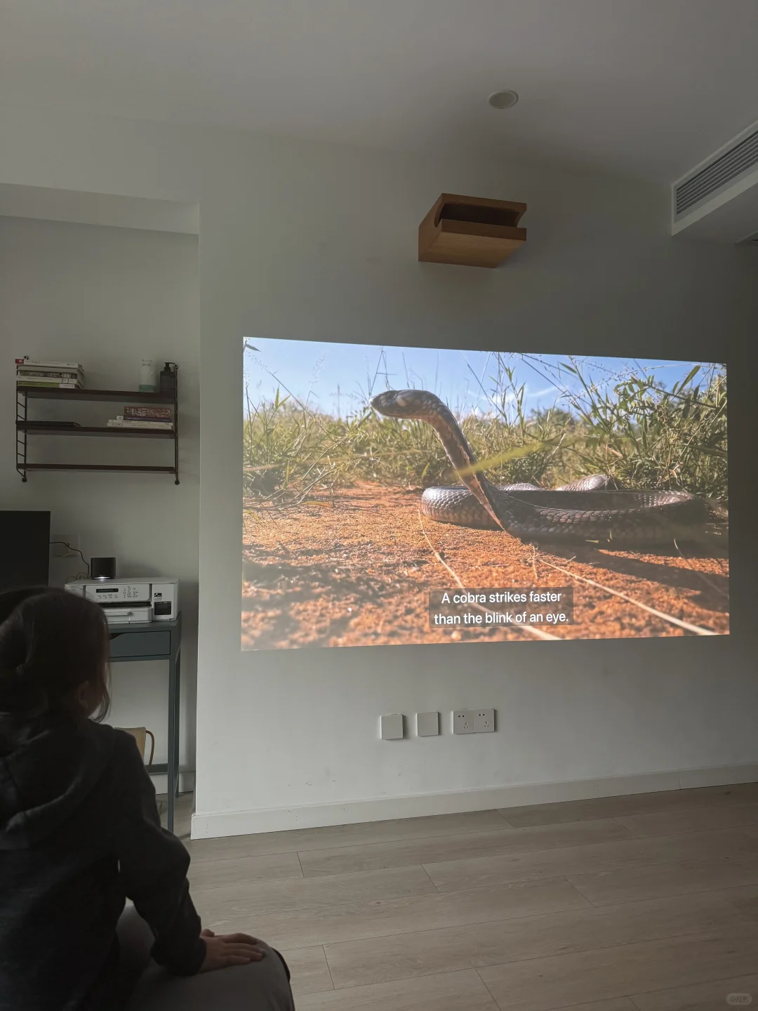 ||引导女儿走向正确三观的5部电影