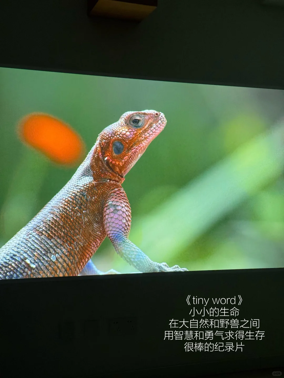 ||引导女儿走向正确三观的5部电影