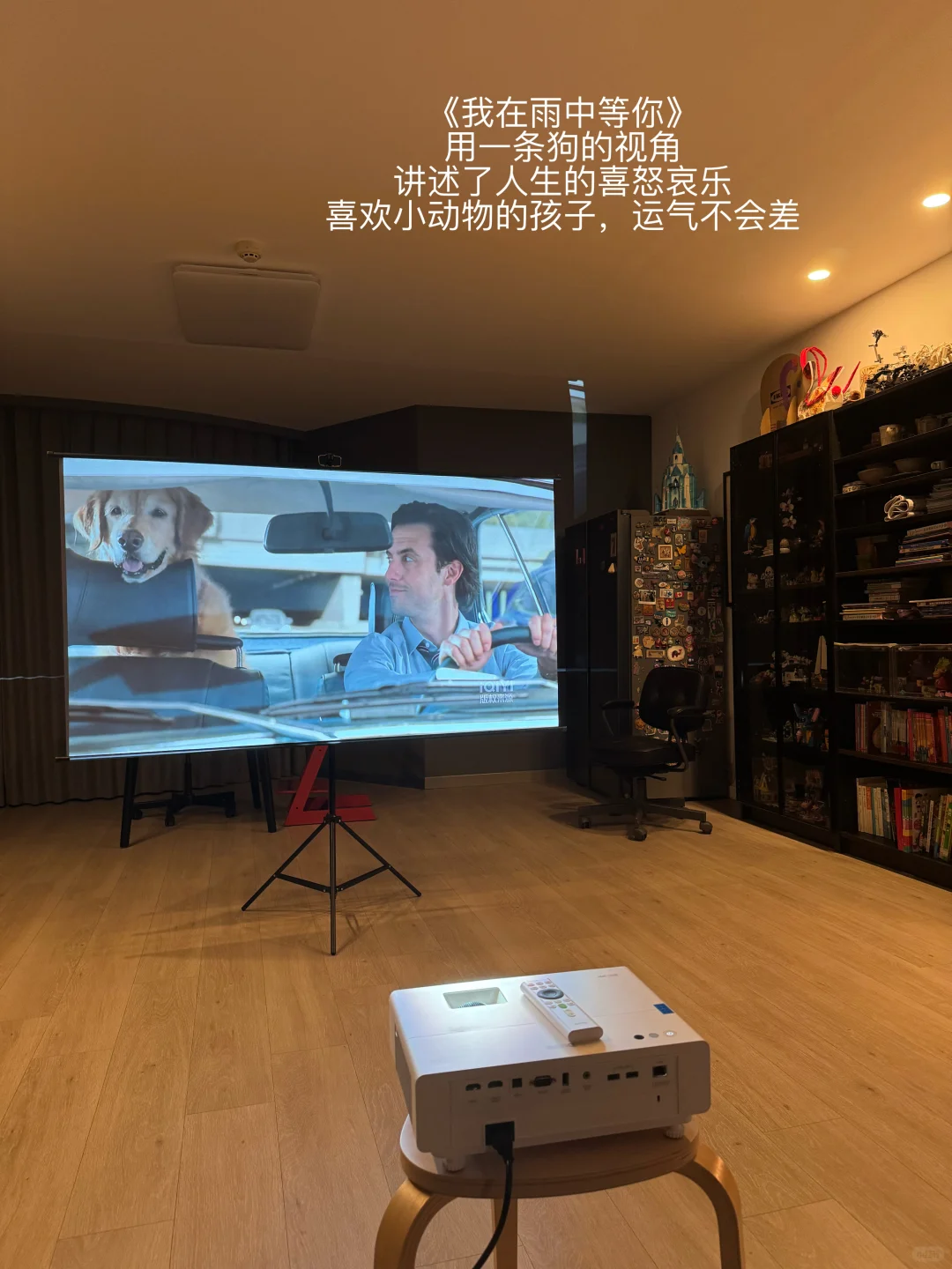 ||引导女儿走向正确三观的5部电影