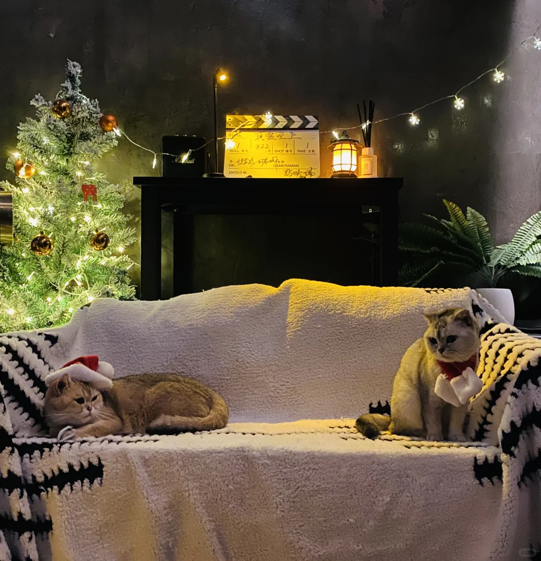 4.17 周四晚 李沧东《燃烧》线下电影沙龙