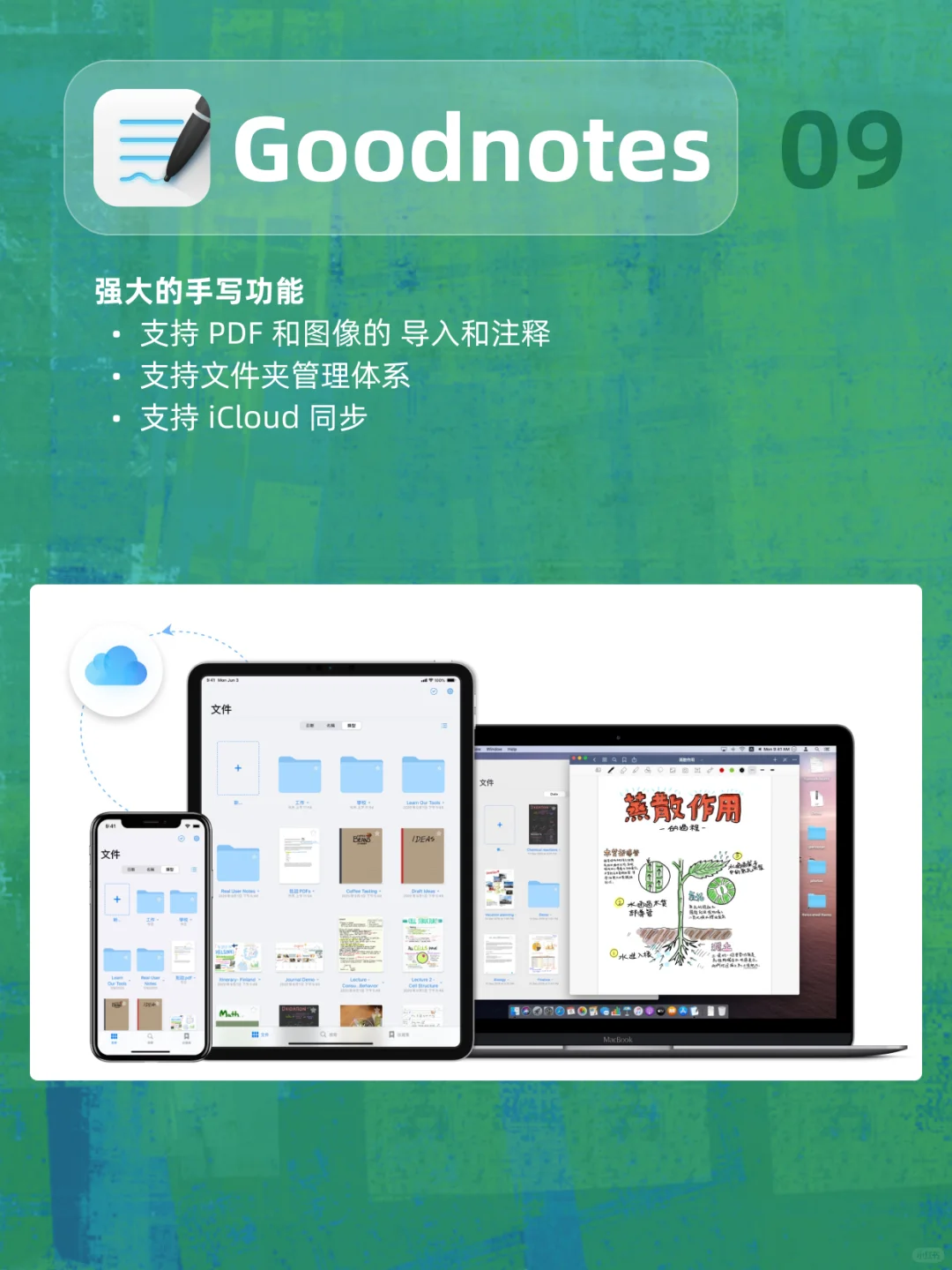 这些年我用过的记录生活App！