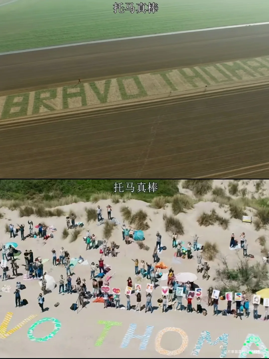 片单盲盒机|治愈系电影推荐《给我翅膀》