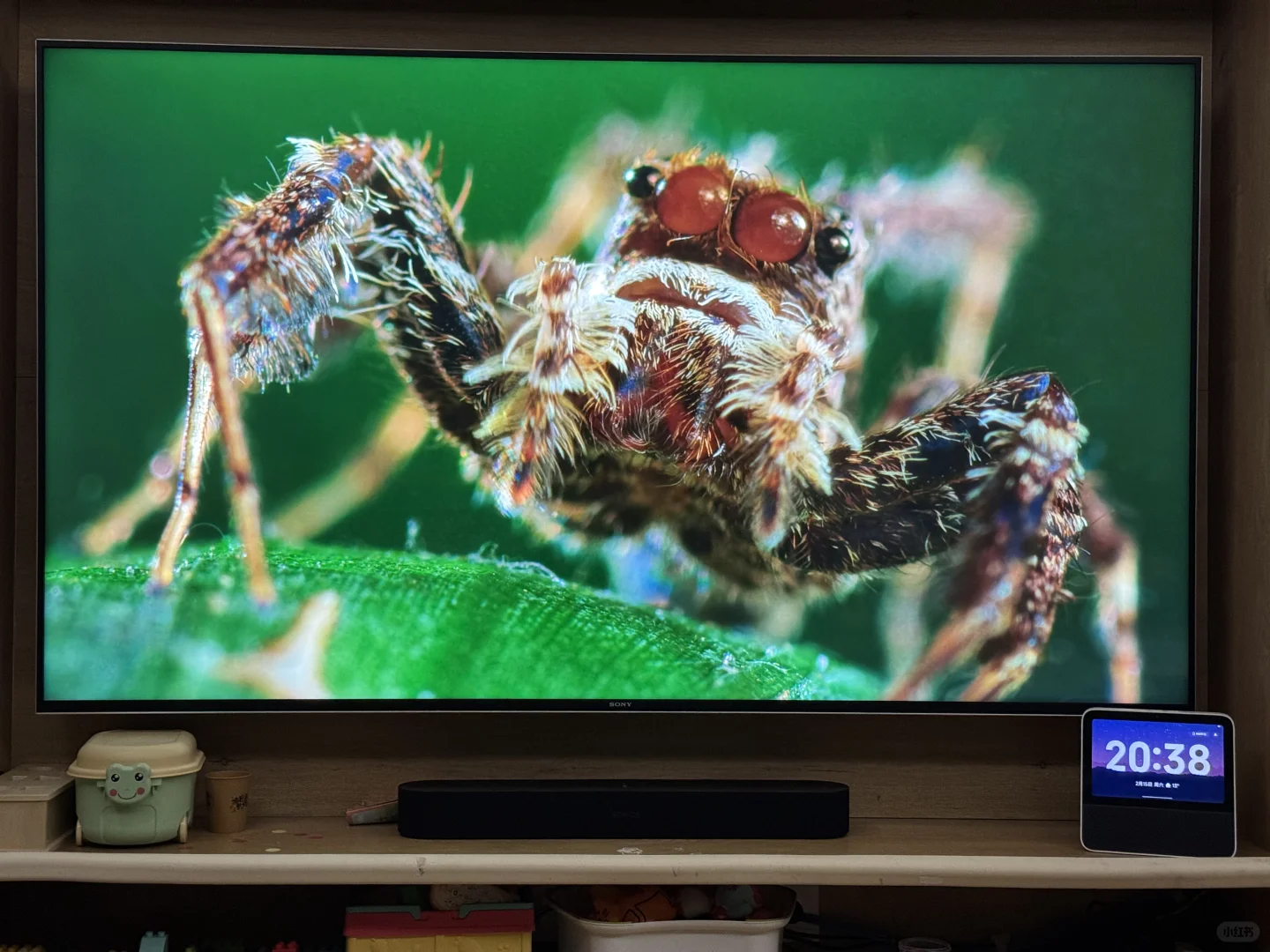 解锁 Apple TV 完整初体验