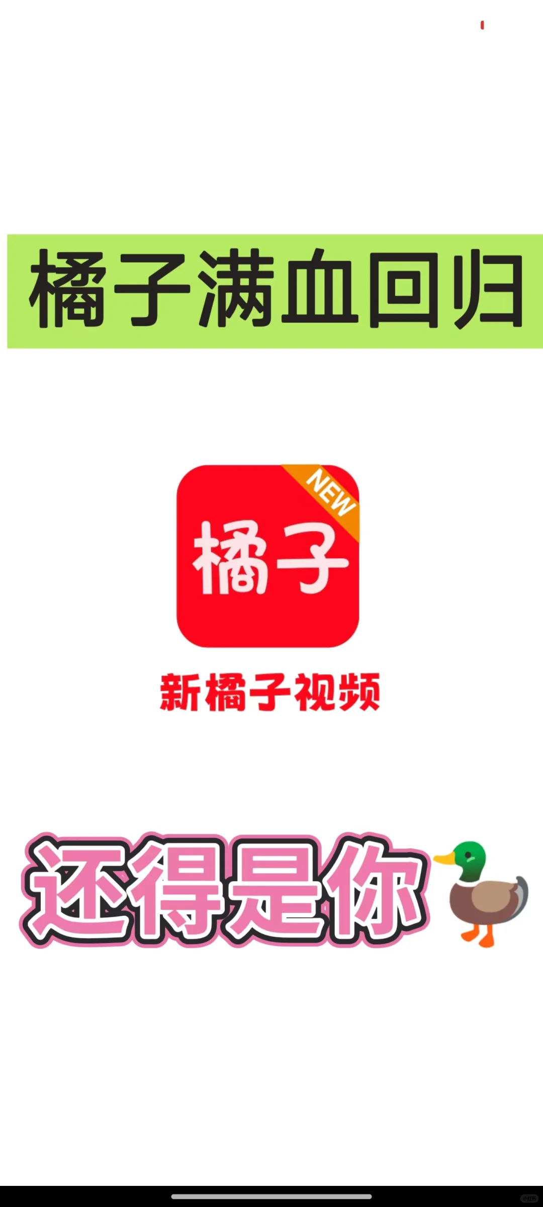 姐妹们，橘子又回归了，没广就是香🥰