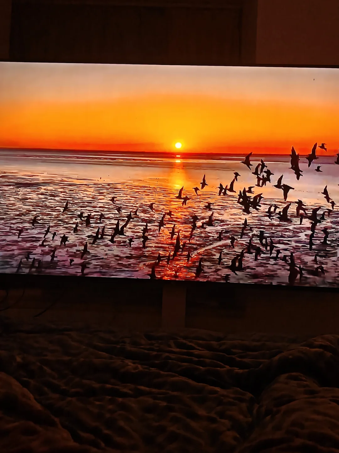 简单几步解决小米电视禁止安装应用