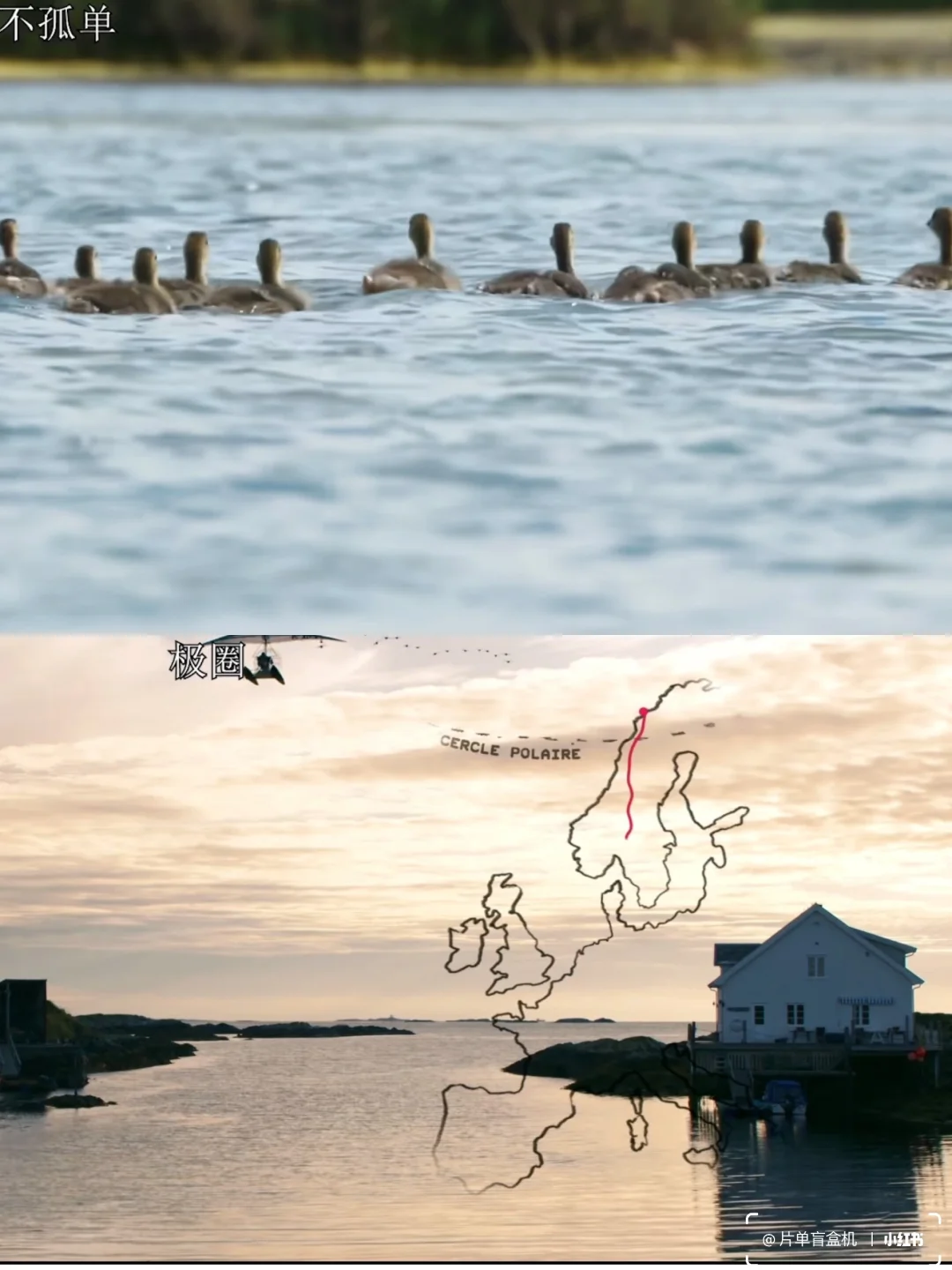 片单盲盒机|治愈系电影推荐《给我翅膀》