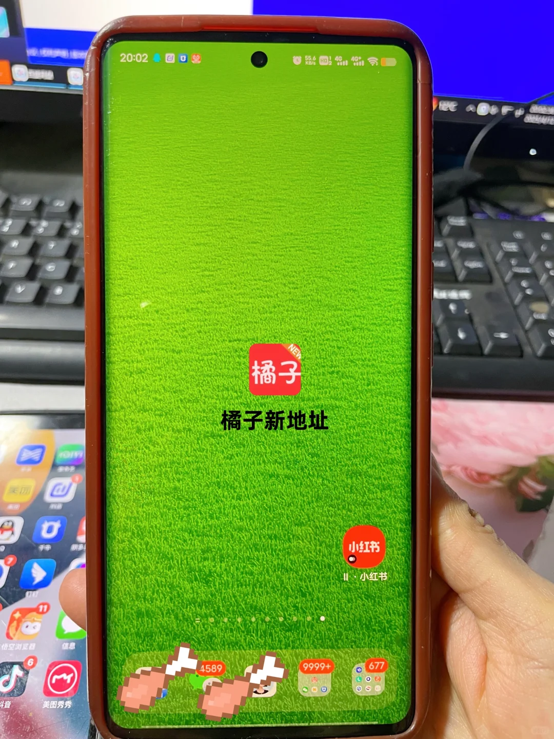 宝子们！别找了，橘子视频带着新地址回来了