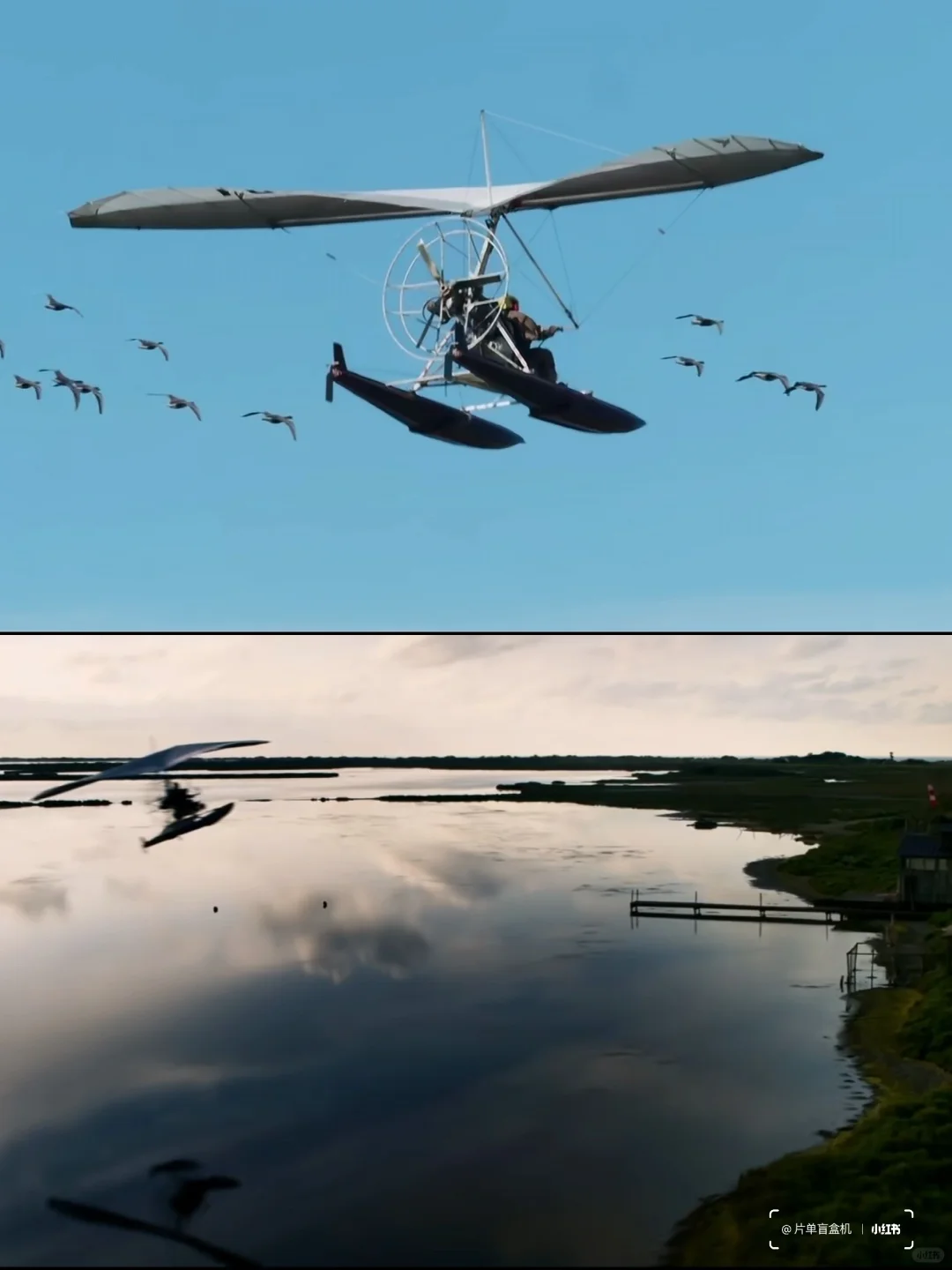 片单盲盒机|治愈系电影推荐《给我翅膀》