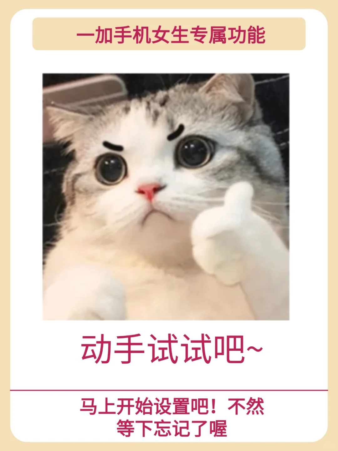 一加女生专属功能‼你解锁完了吗？