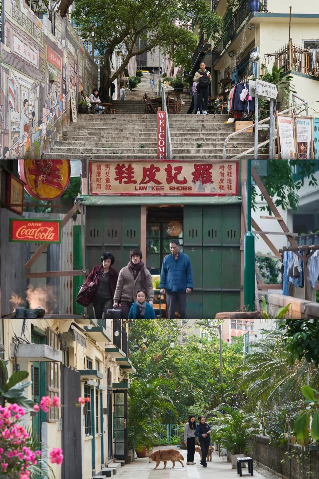 📍中环｜1小时Citywalk拍到的电影画面