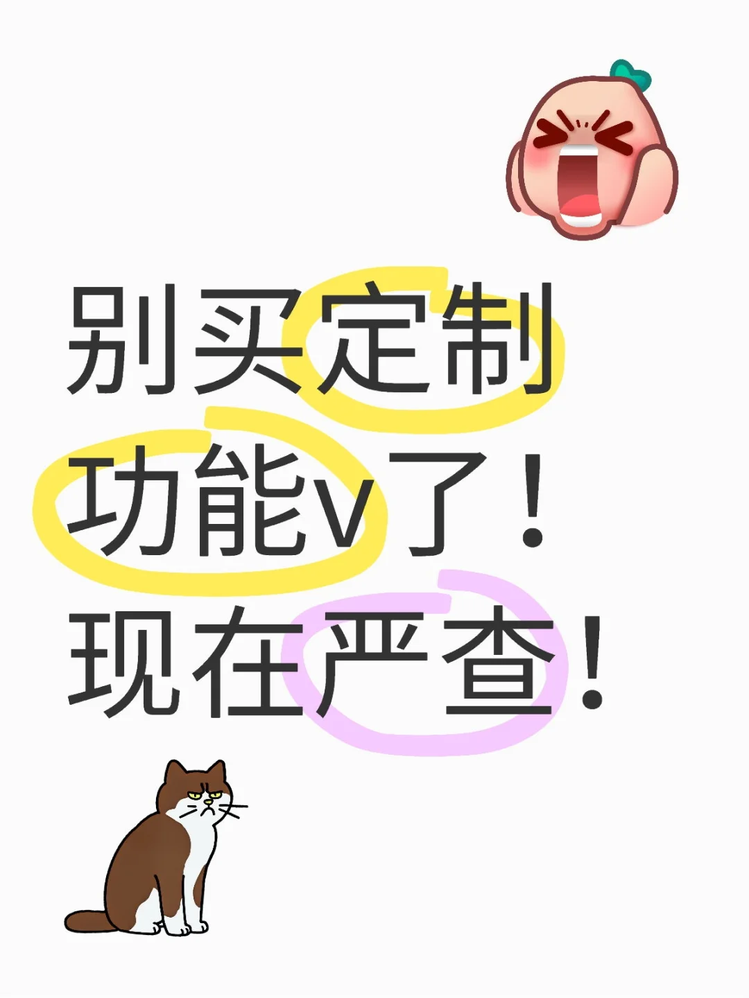 别买定制v功能v了，而且现在严查