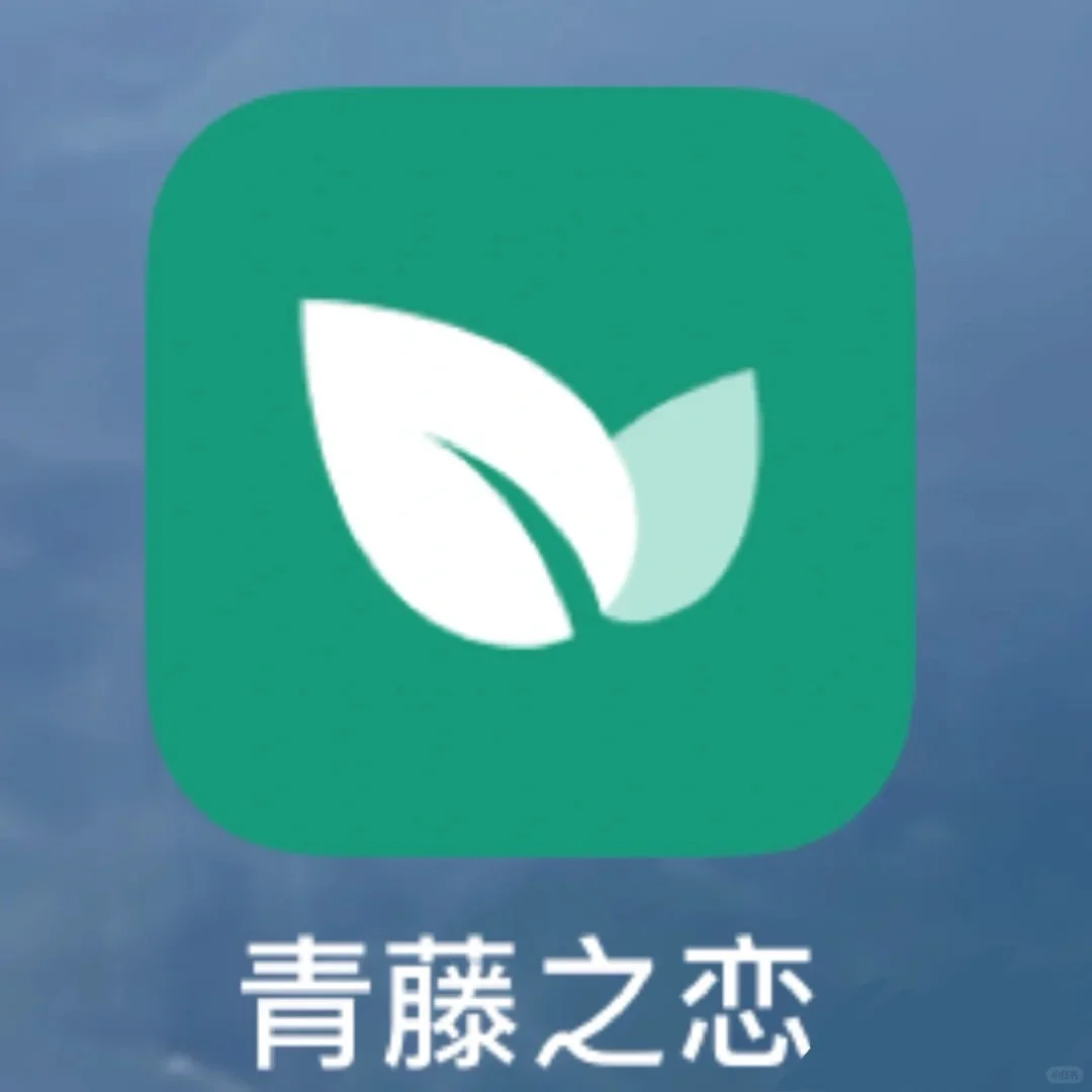 女生对青藤男生的一些小建议