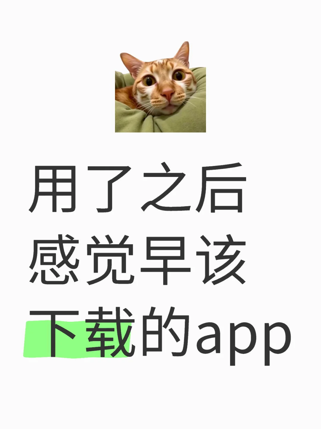 哪些app是你用了之后感觉早该下载的？