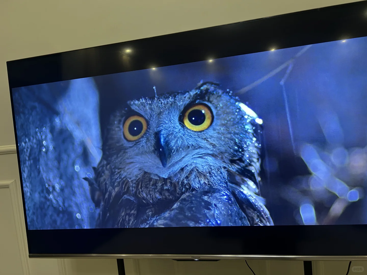 戒掉短视频每天耐心看一部长电影第一天