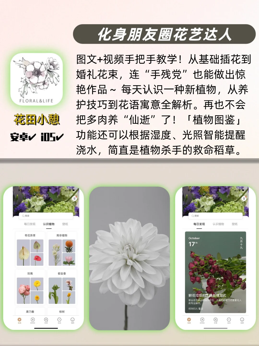 太懂女生啦🎀一眼就会爱上的宝藏App