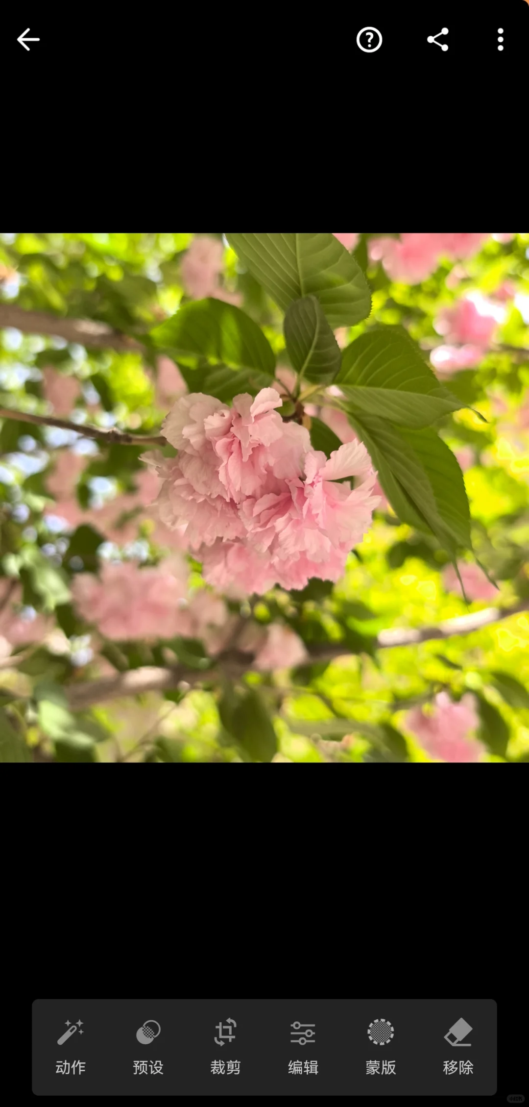 亲测有效！！！安卓下载Lr及登陆使用！