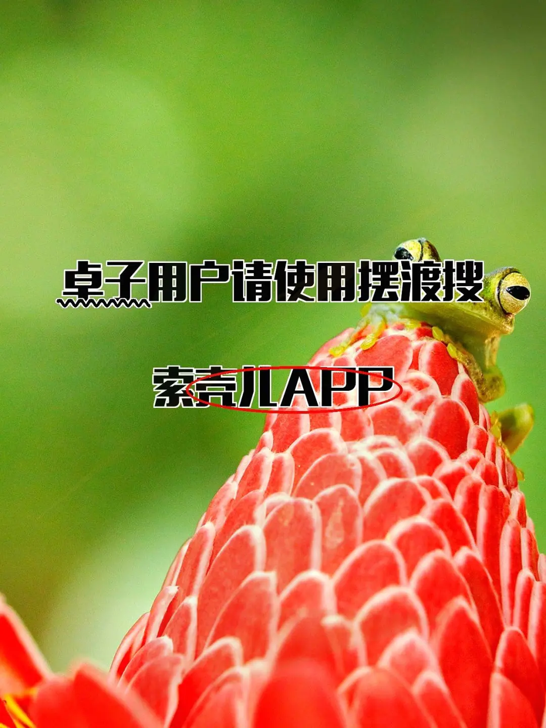 四款iOS伪装观影应用推荐