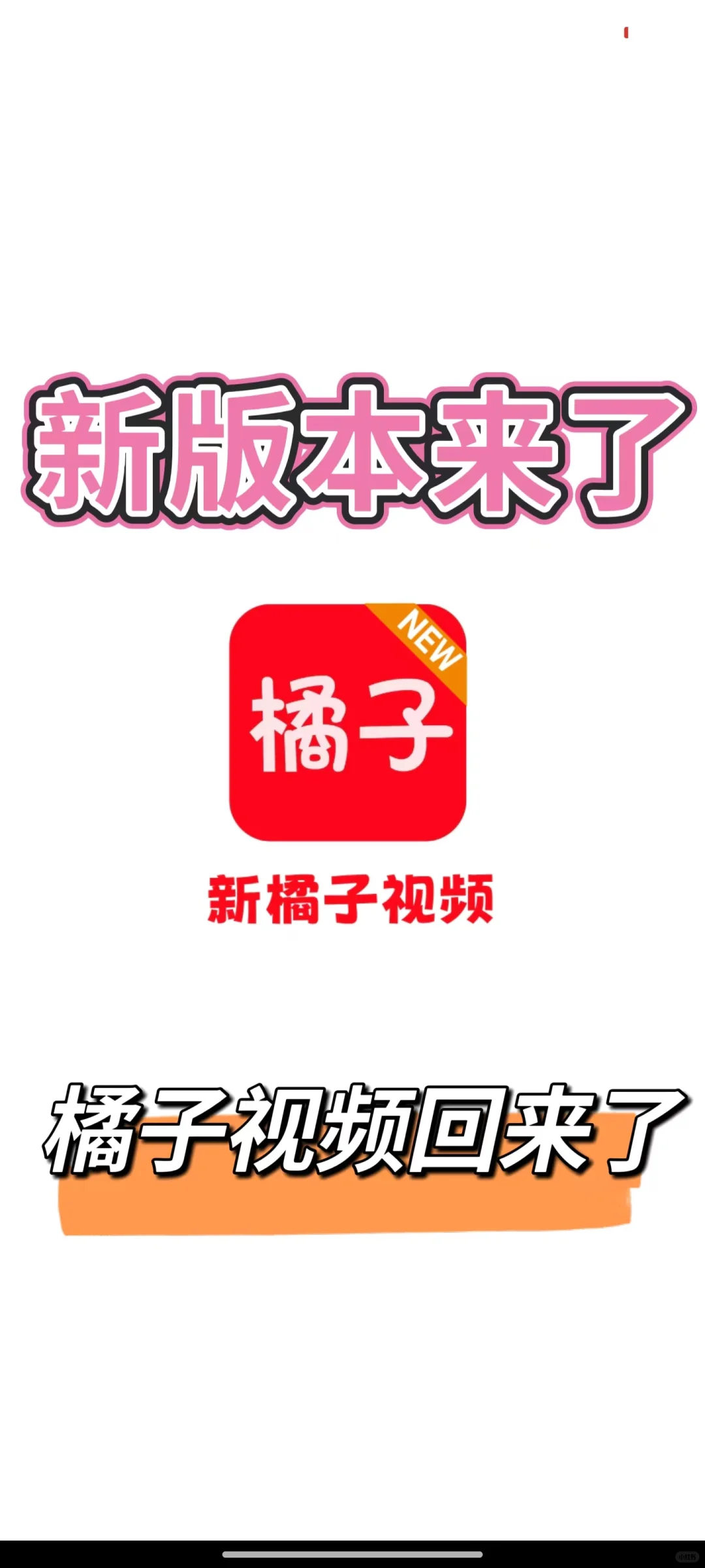 🍊橘子终于回来了