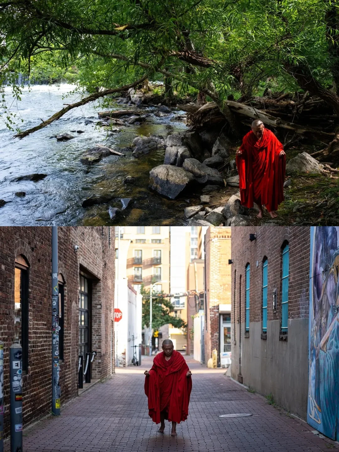 《无所住》看完，我悟了！✨