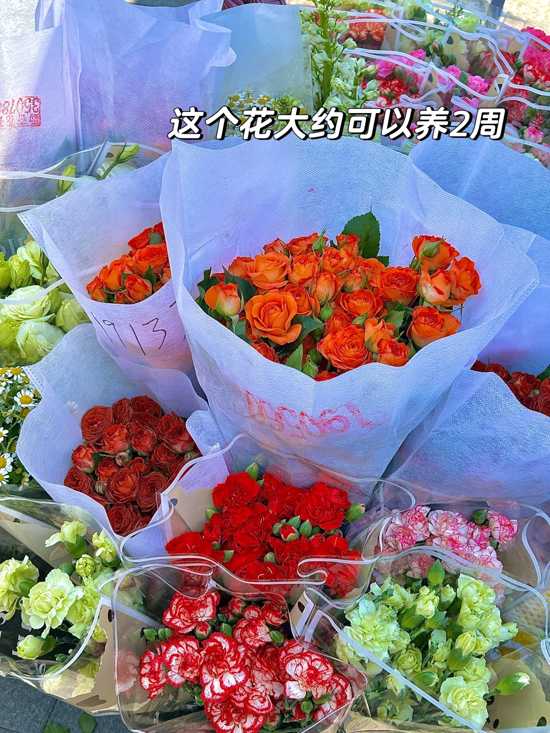 软件园！！已经出现了人挤人现象！！！！