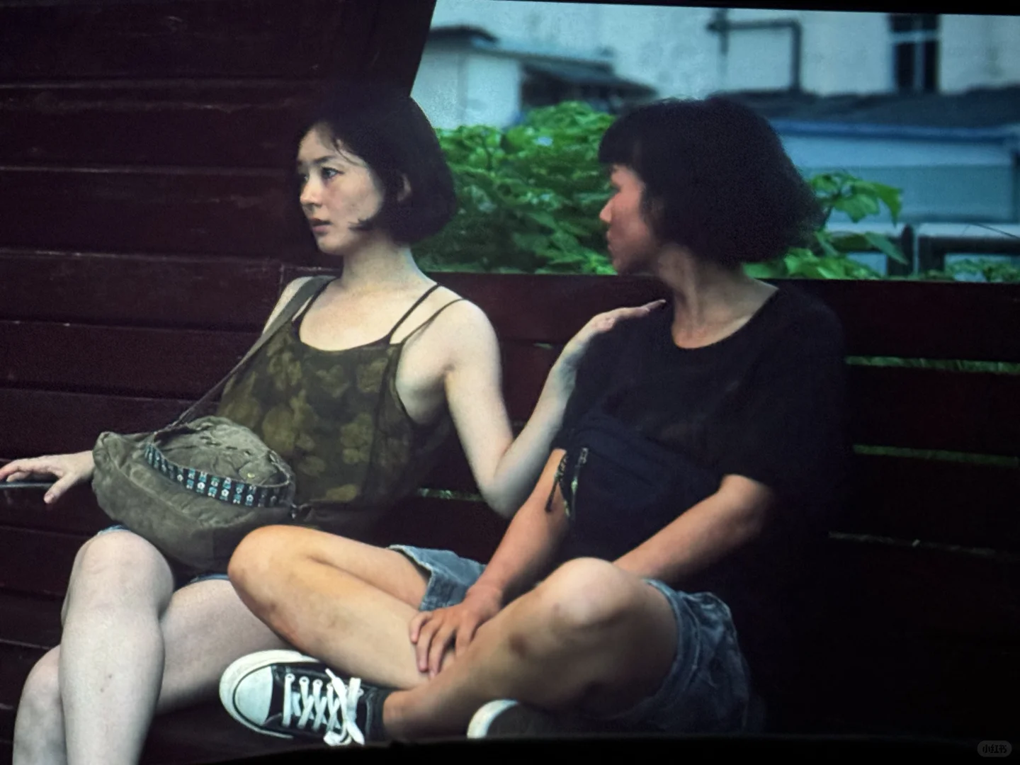 只有我觉得《向阳花》好看吗