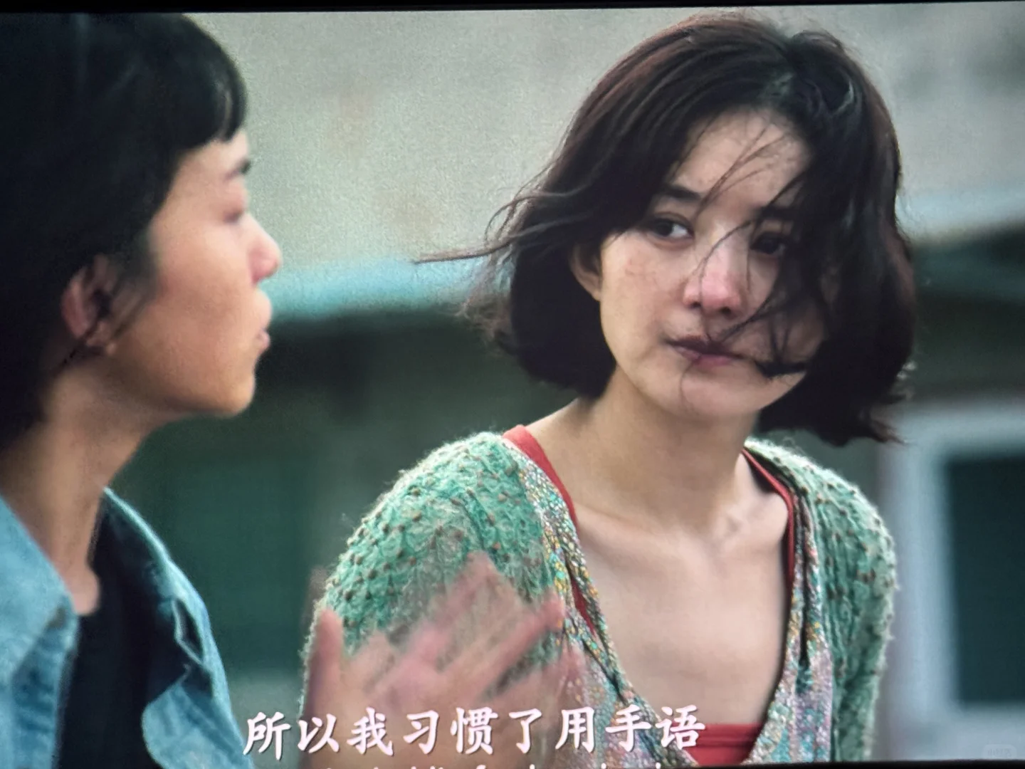 只有我觉得《向阳花》好看吗