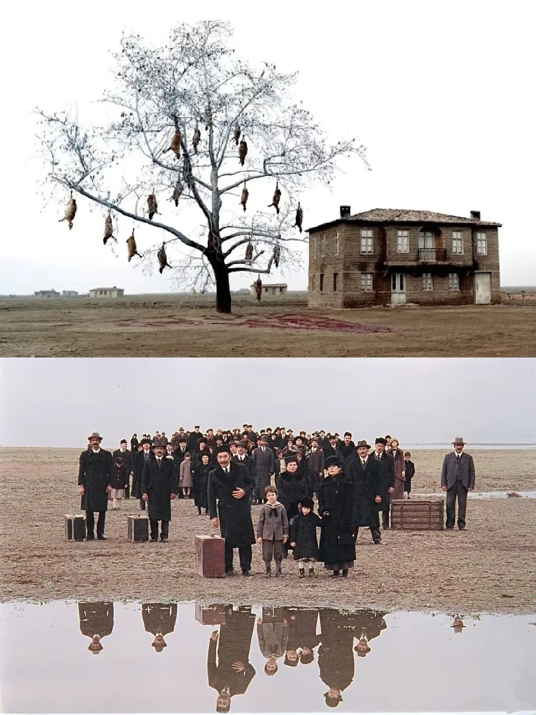 我去😭太震撼了‼️所有人都给我去看‼️