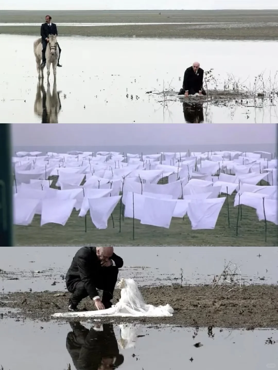 我去😭太震撼了‼️所有人都给我去看‼️