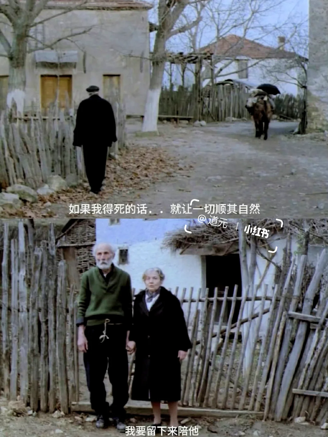 不愧是顶级哲学电影❗️后劲好大啊😭