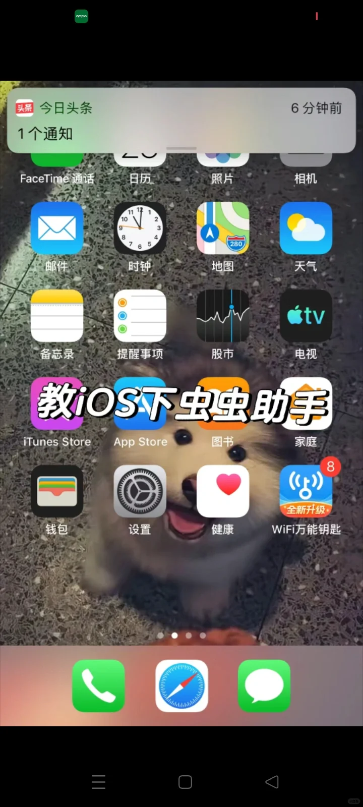 教iOs下虫虫助手