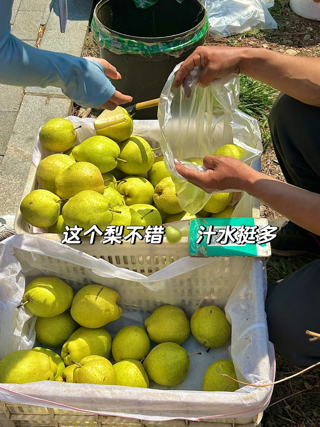 软件园！！已经出现了人挤人现象！！！！