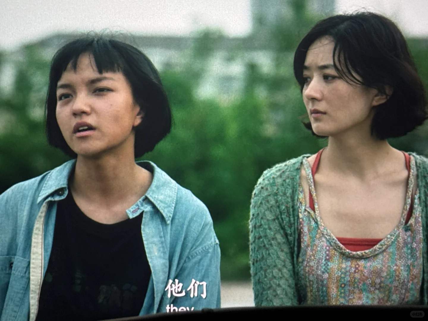 只有我觉得《向阳花》好看吗