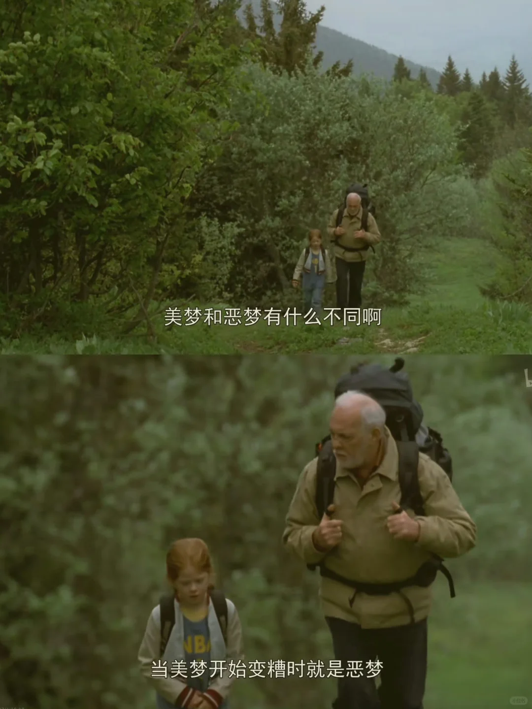 🎬 法国电影《蝴蝶》 🦋