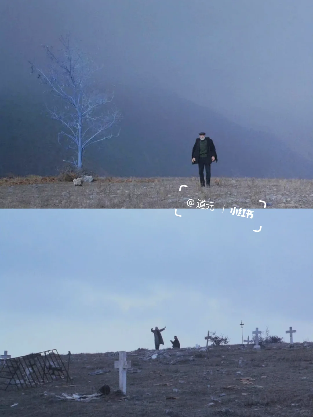 不愧是顶级哲学电影❗️后劲好大啊😭