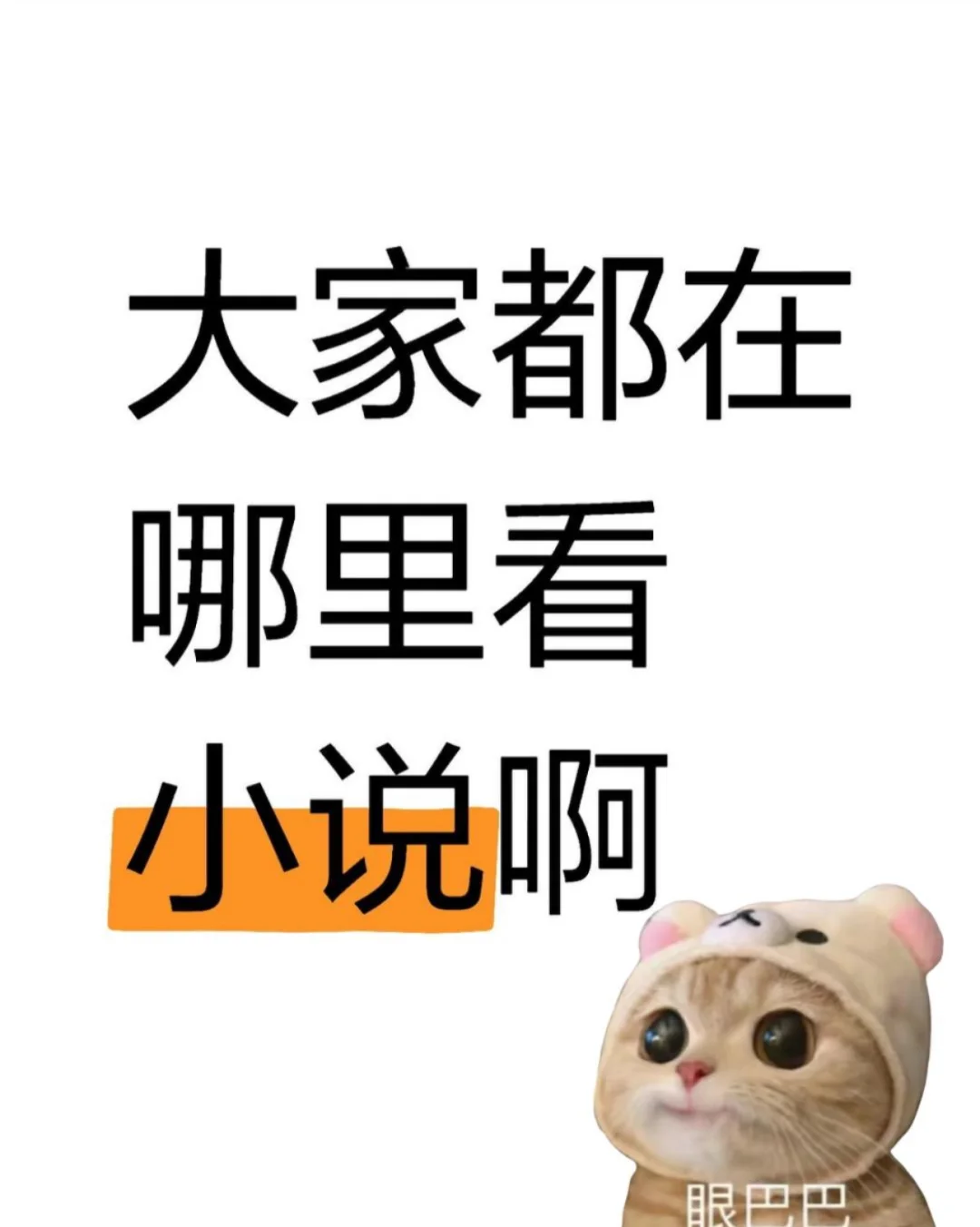 大家都在哪里看小说啊?