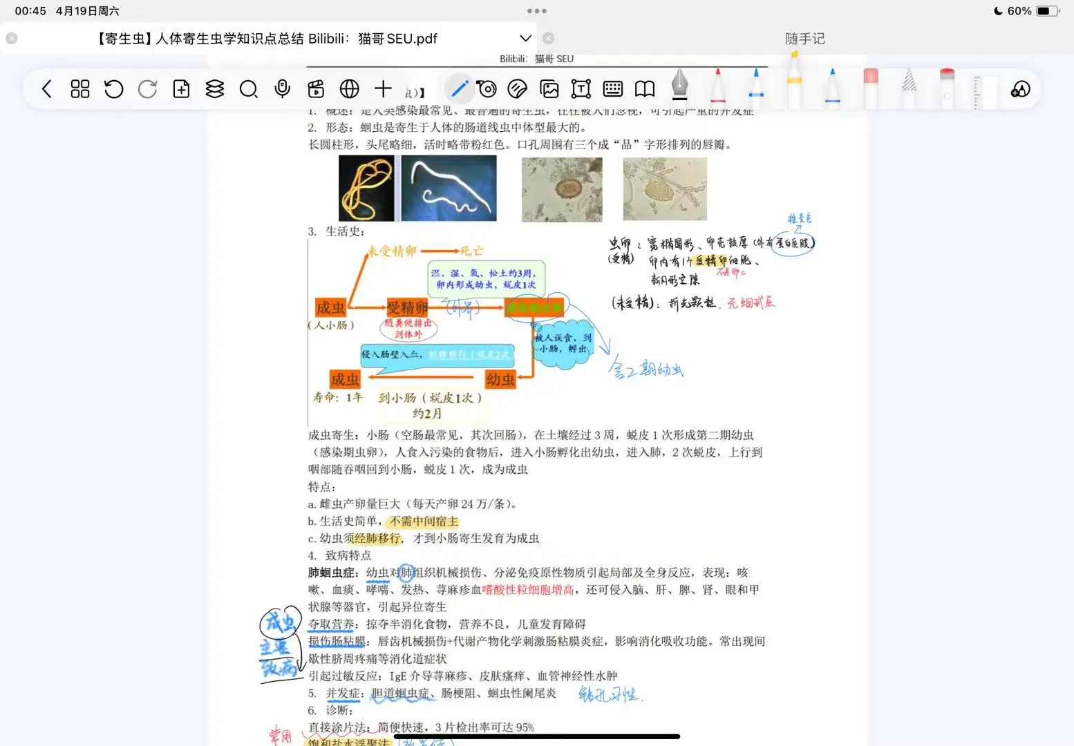 你在找世间最好用的笔记软件吗