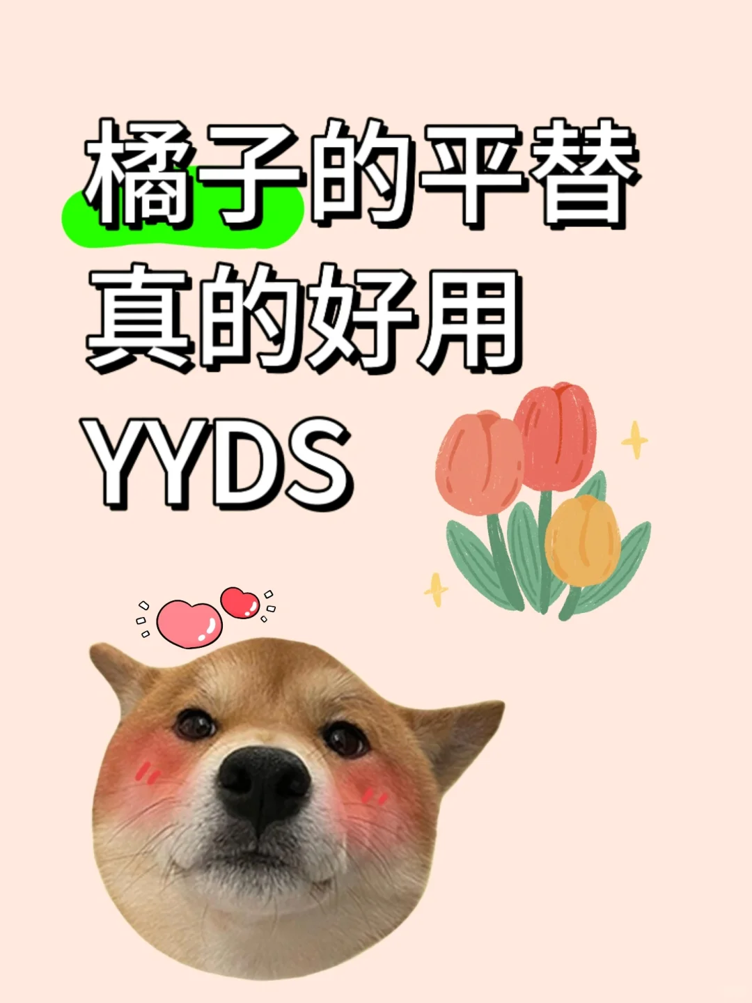 爱追剧的宝子们有福啦😘追剧神追剧必备