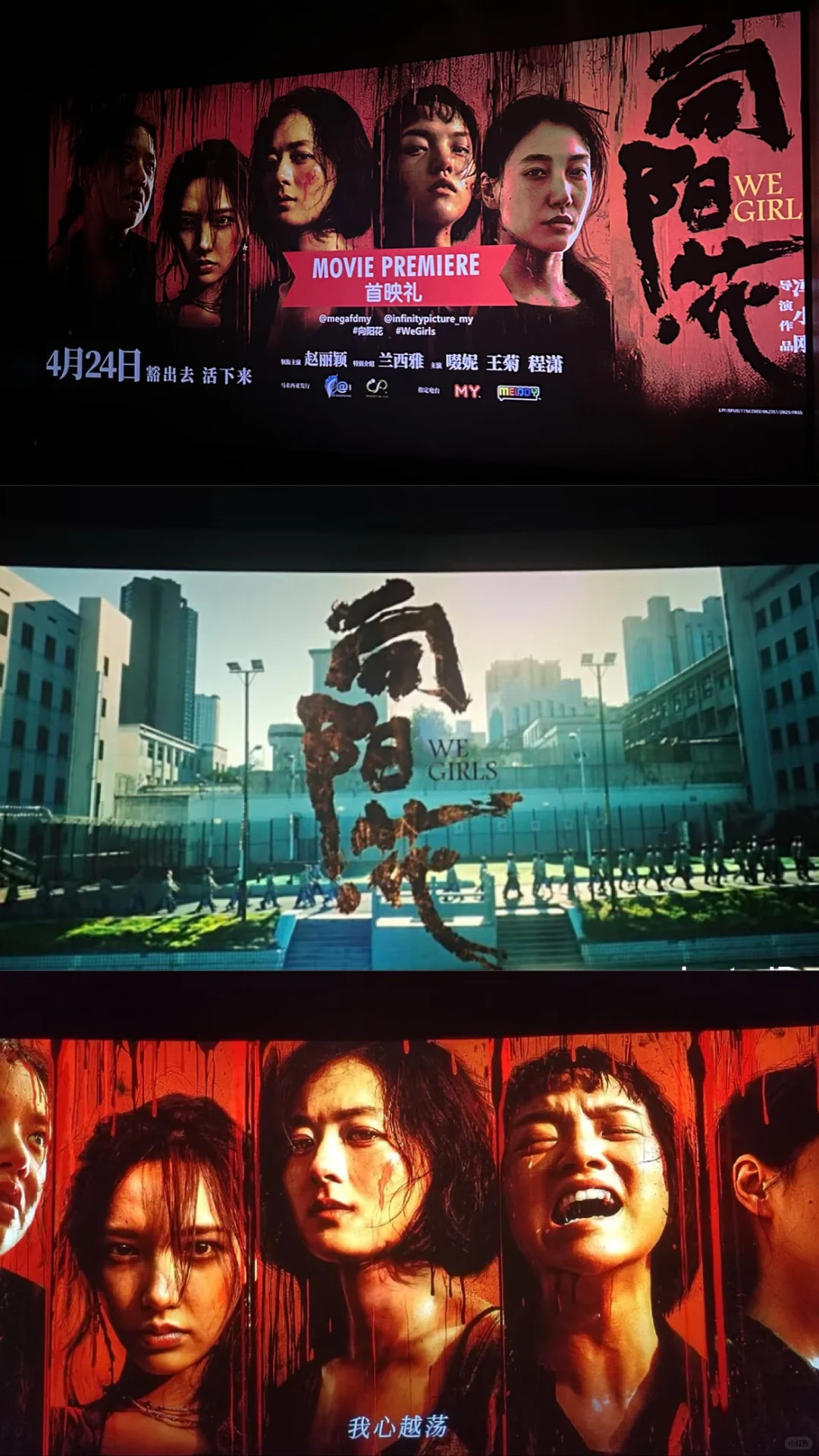 🇲🇾🎬观后感｜《向阳·花》🌻 “豁出去 活下来”