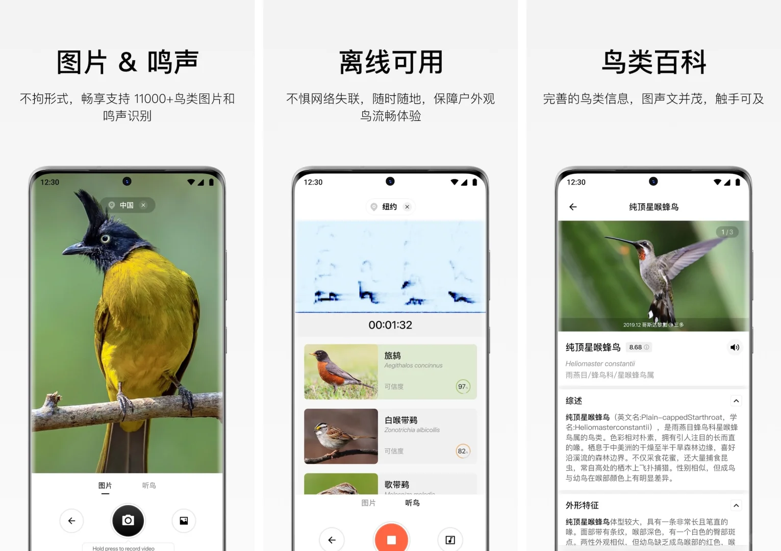 🌿鸟圈大事件：懂鸟 App 安卓版上架啦～