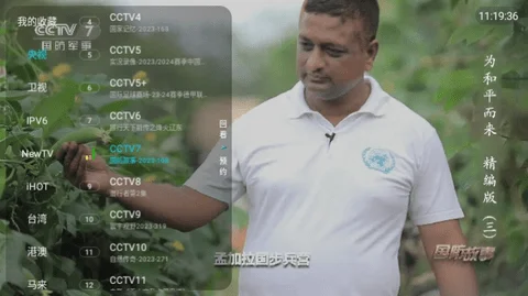 盒子软件丨野火TV去广告版