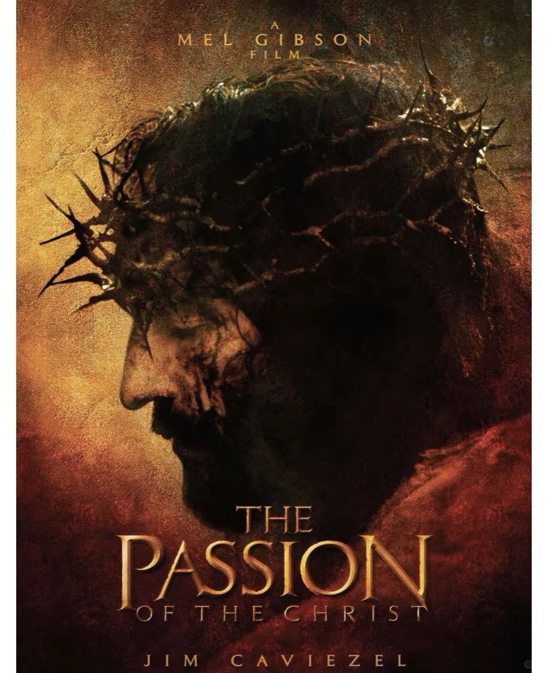 太震撼了，值得一看‼️‼️