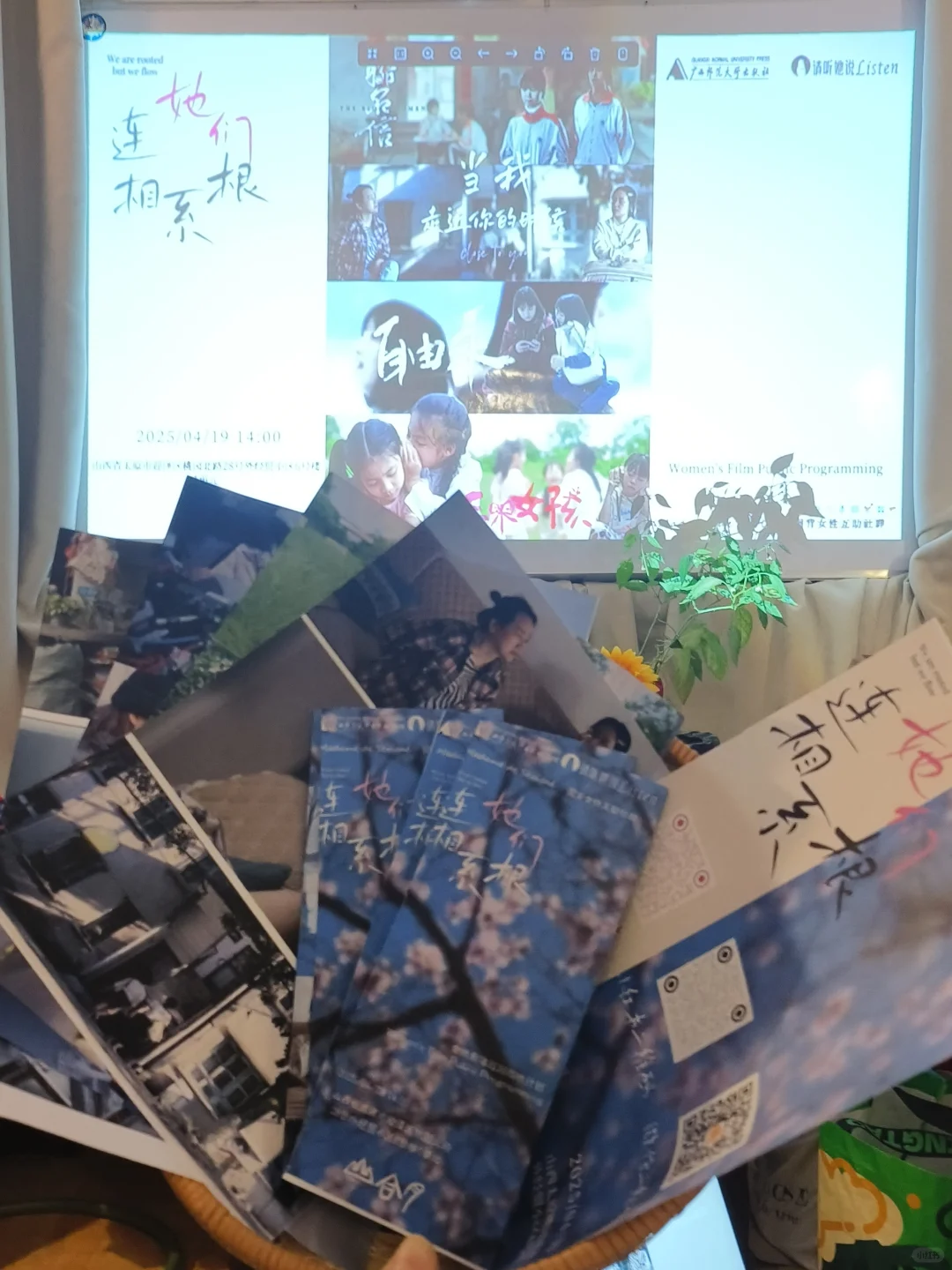 我们为什么需要更多的女性导演和女性电影？