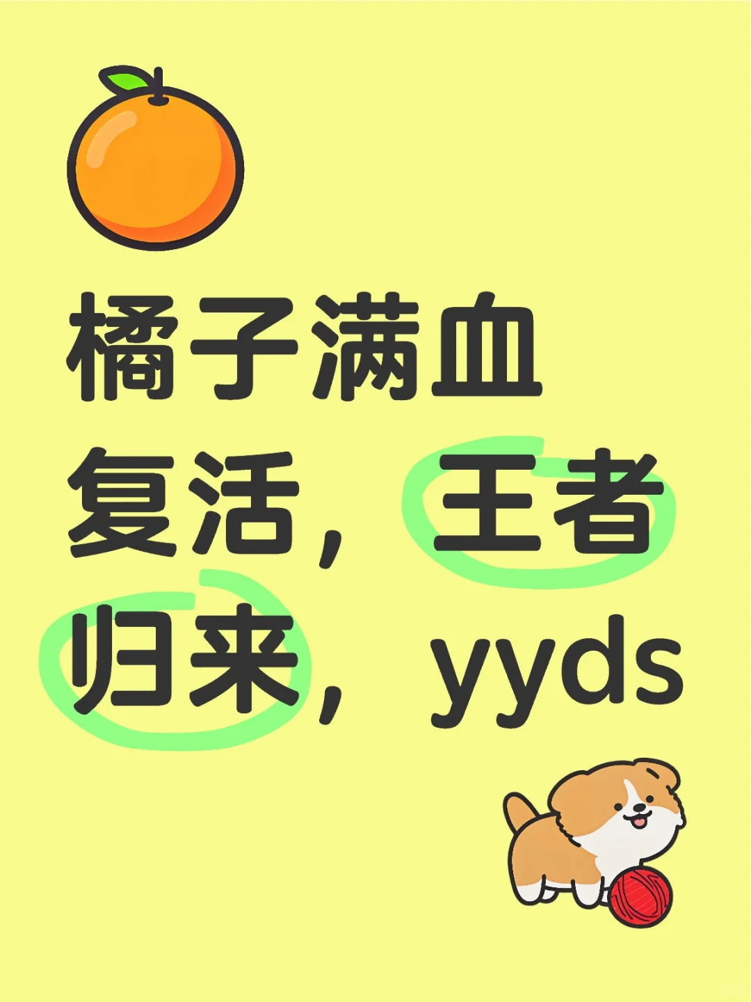 🍊视频满血复活