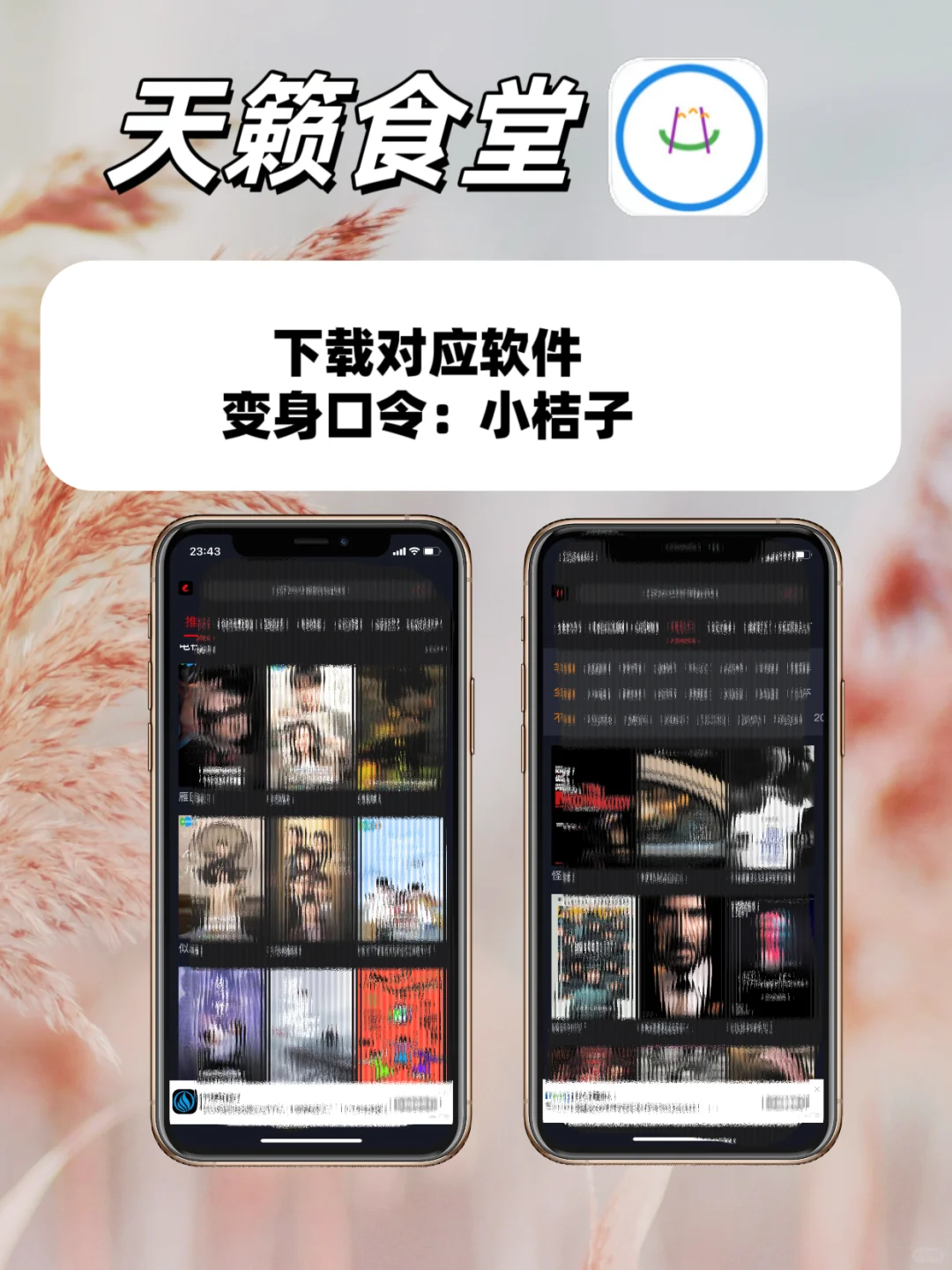 超好用的苹果IOS🍎小众追剧神器合集🔥