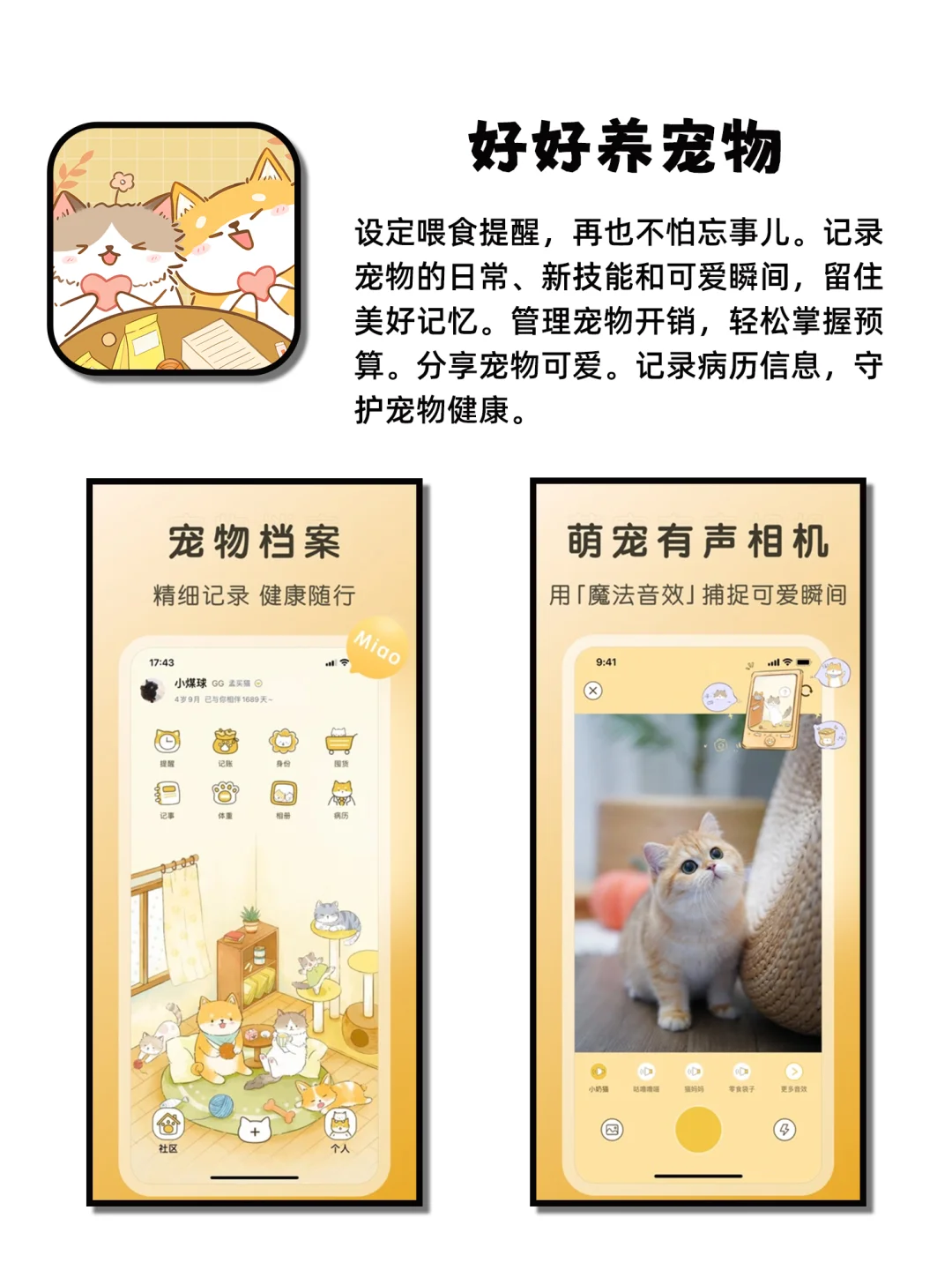 小众神仙宝藏APP用了戒不掉
