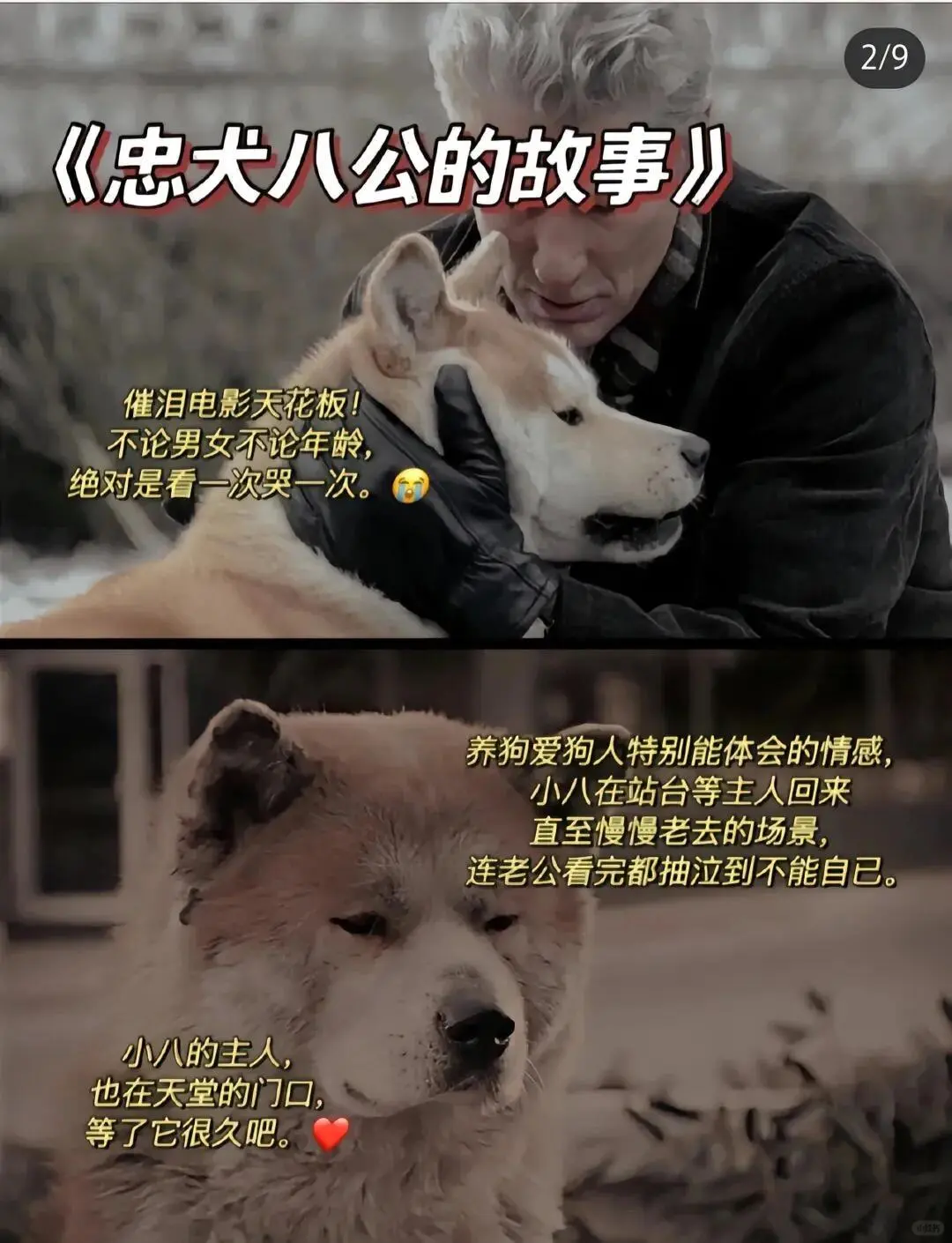 爆哭！emo时必看10部催泪电影